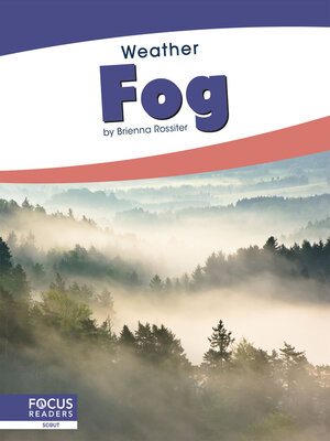 cover image of Fog